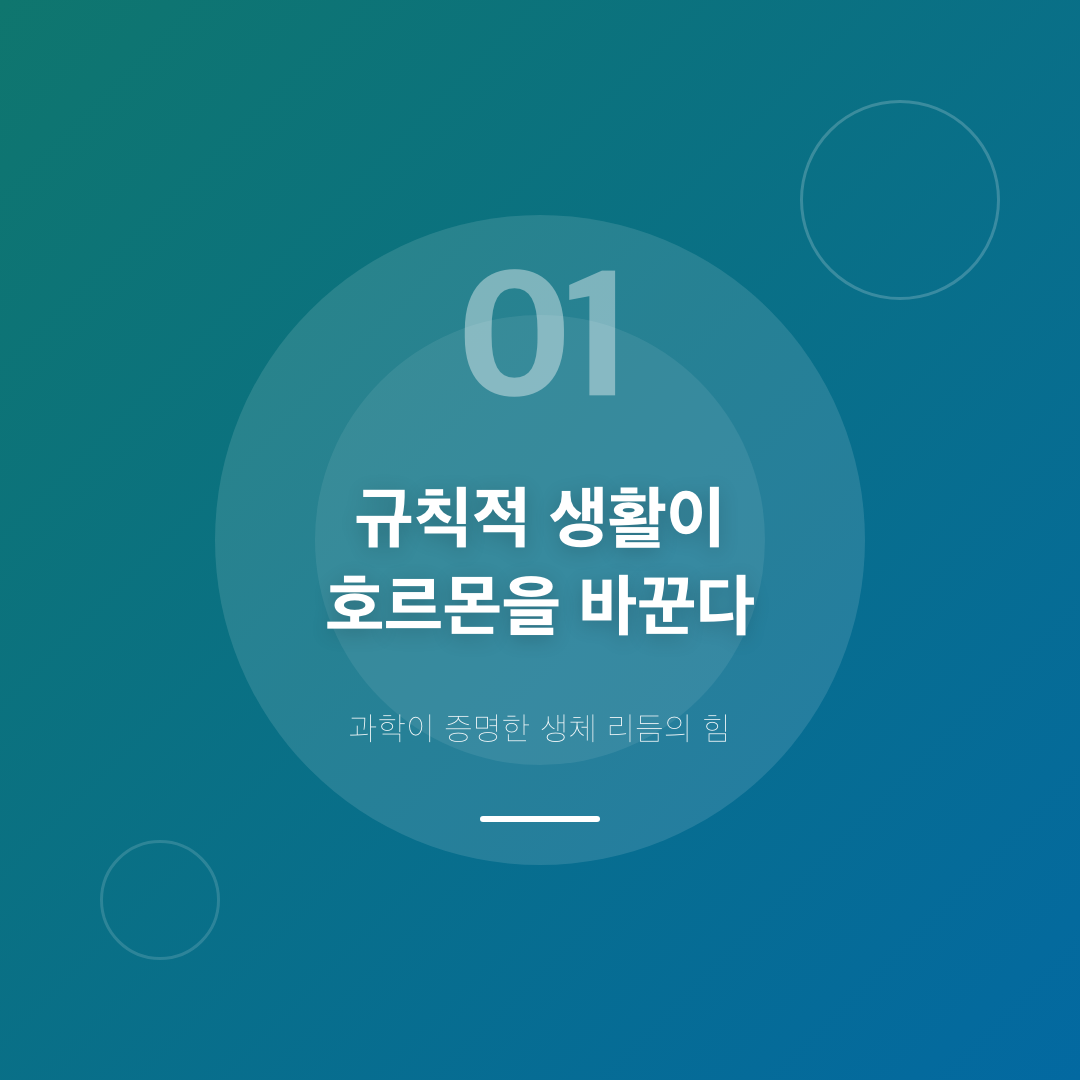 규칙적 생활 패턴이 호르몬 균형을 바꾸는 과학적 이유