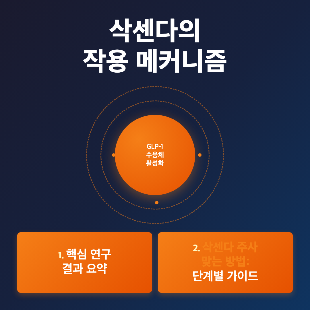 삭센다 주사 맞는 방법: 임상 연구로 보는 정확한 투여 가이드 이미지 2