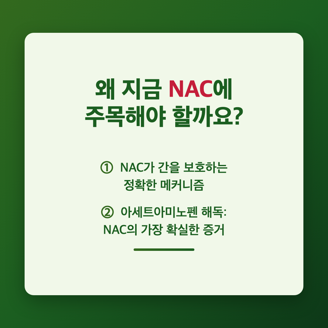 왜 지금 NAC에 주목해야 할까요? - NAC 아세틸시스테인 간 해독 효과