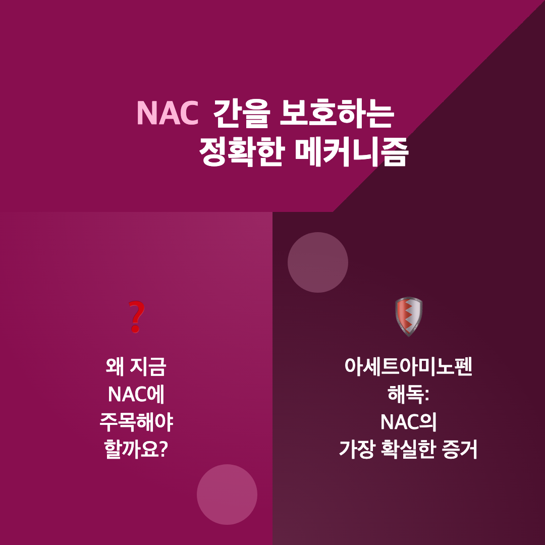 NAC 아세틸시스테인 간 해독 효과: 영양사가 알려주는 과학적 진실 이미지 2