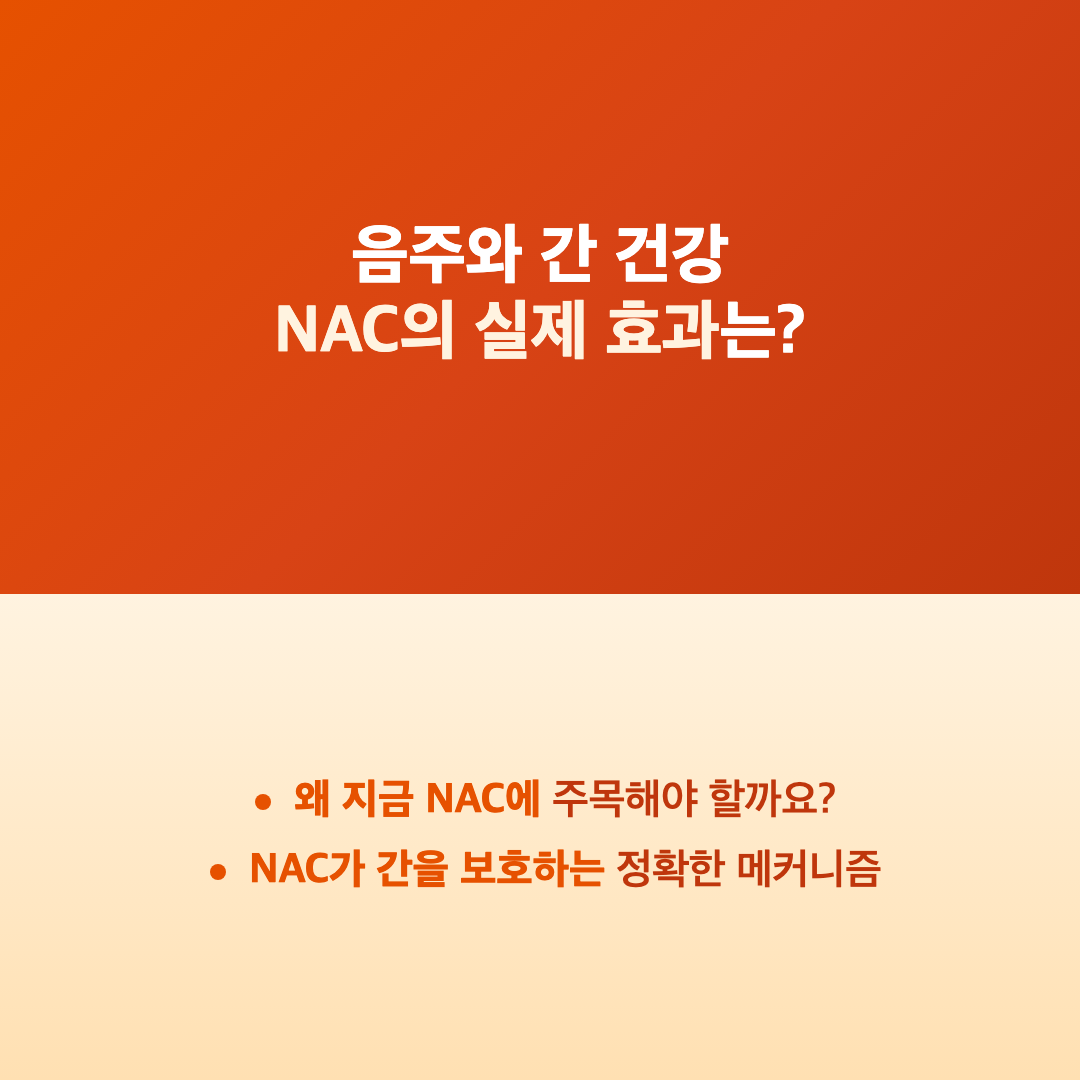 NAC 아세틸시스테인 간 해독 효과: 영양사가 알려주는 과학적 진실 이미지 4