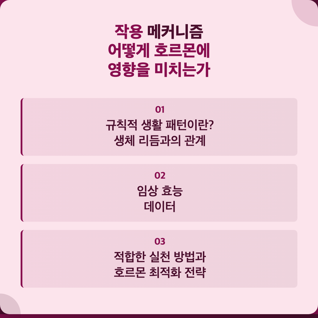 규칙적 생활 패턴이 호르몬 균형을 바꾸는 과학적 이유 이미지 2