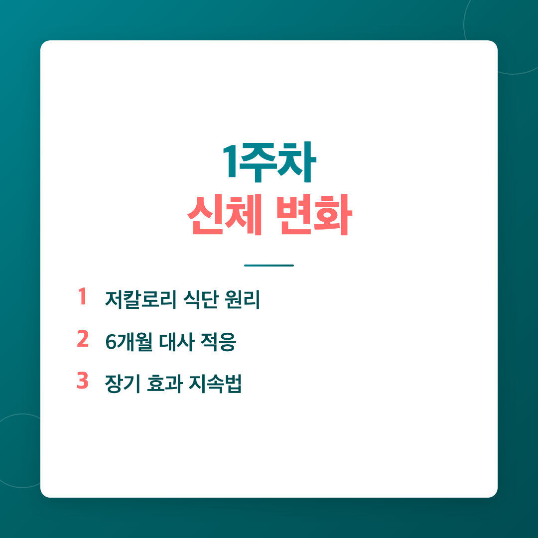 저칼로리 식단 구성 방법, 1년 후까지 내 몸은 어떻게 변할까 이미지 2