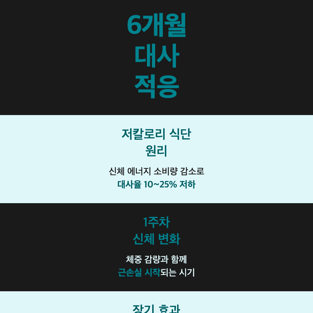 저칼로리 식단 구성 방법, 1년 후까지 내 몸은 어떻게 변할까 이미지 3