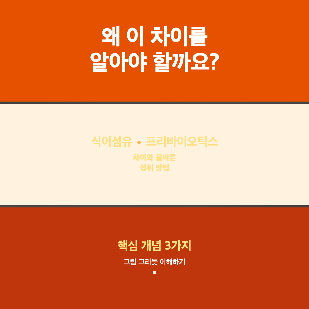식이섬유 vs 프리바이오틱스 차이와 올바른 섭취 방법 안내 이미지 2