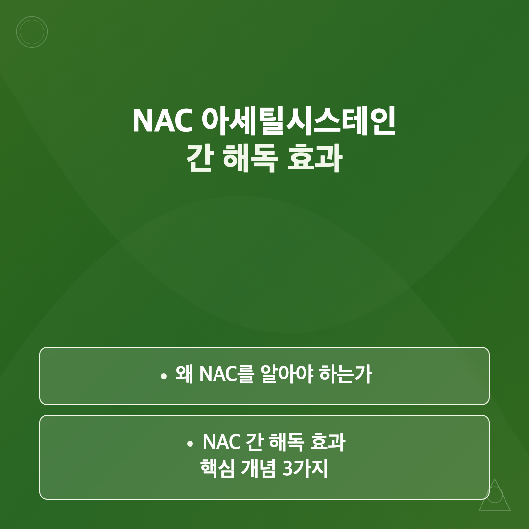 NAC 아세틸시스테인이란 무엇인가? - NAC 아세틸시스테인 간 해독 효과