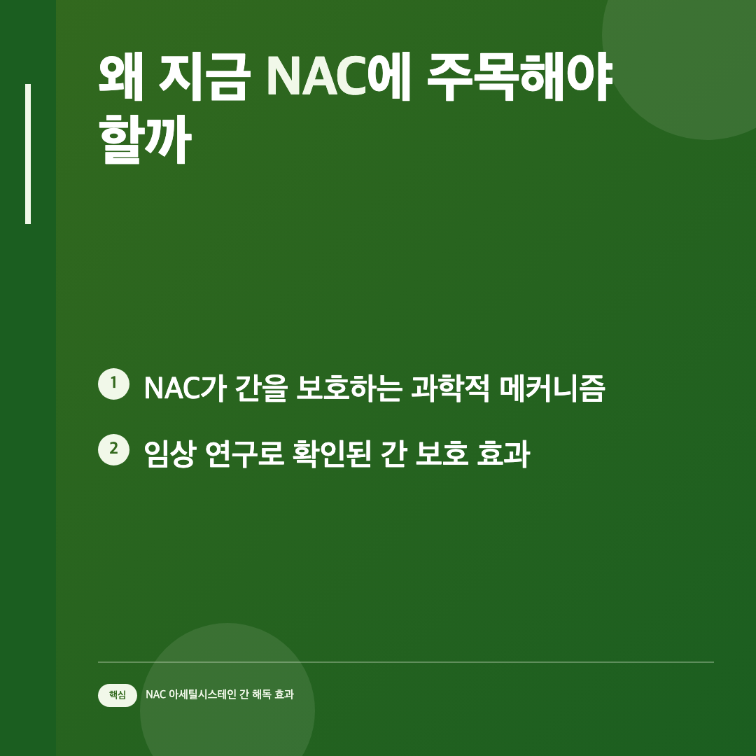 왜 지금 NAC에 주목해야 할까 - NAC 아세틸시스테인 간 해독 효과