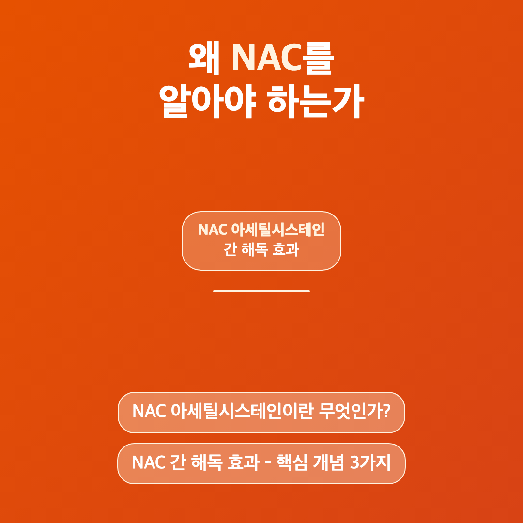 NAC 아세틸시스테인 간 해독 효과 - 초보자를 위한 완전 기초 가이드 이미지 2