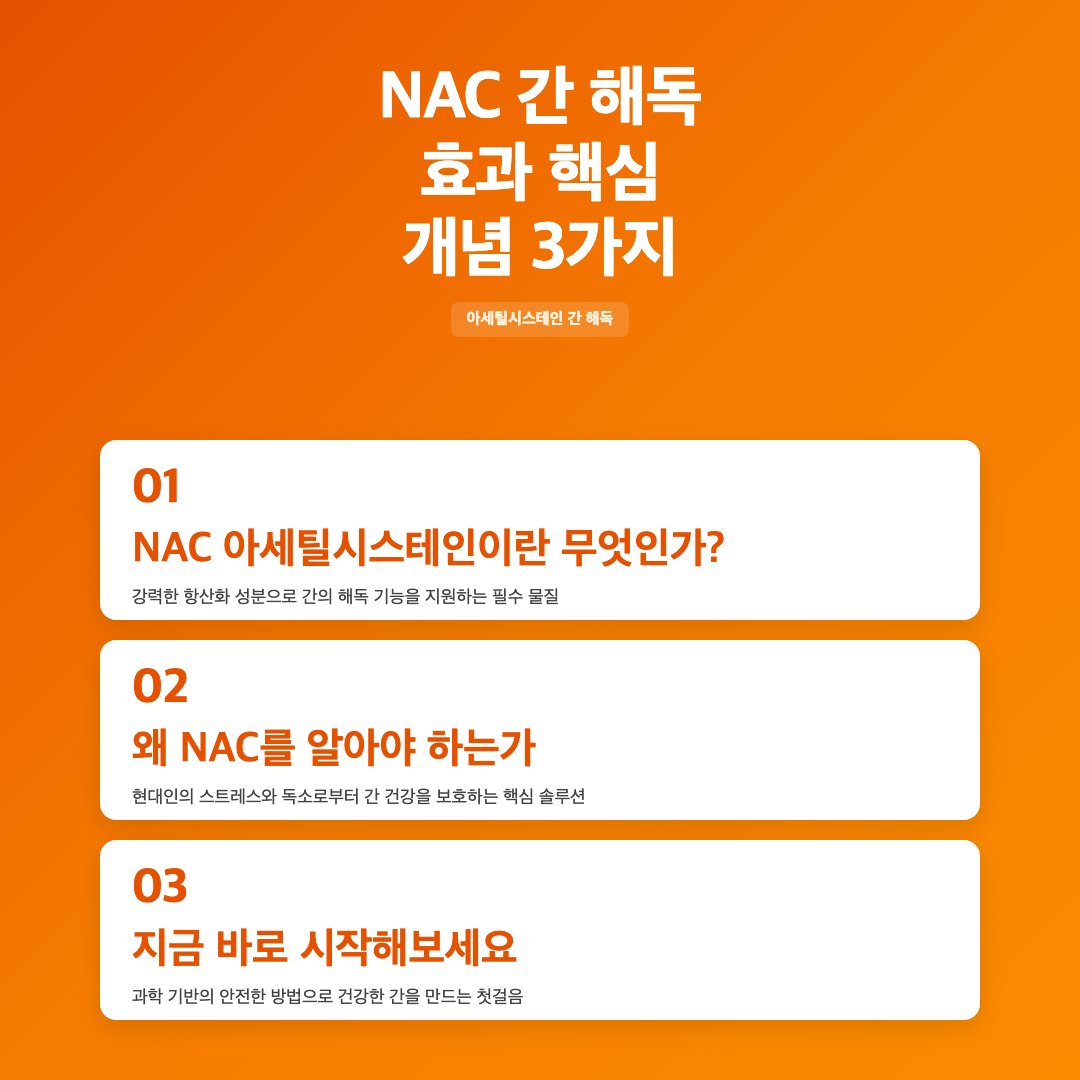 NAC 아세틸시스테인 간 해독 효과 - 초보자를 위한 완전 기초 가이드 이미지 3