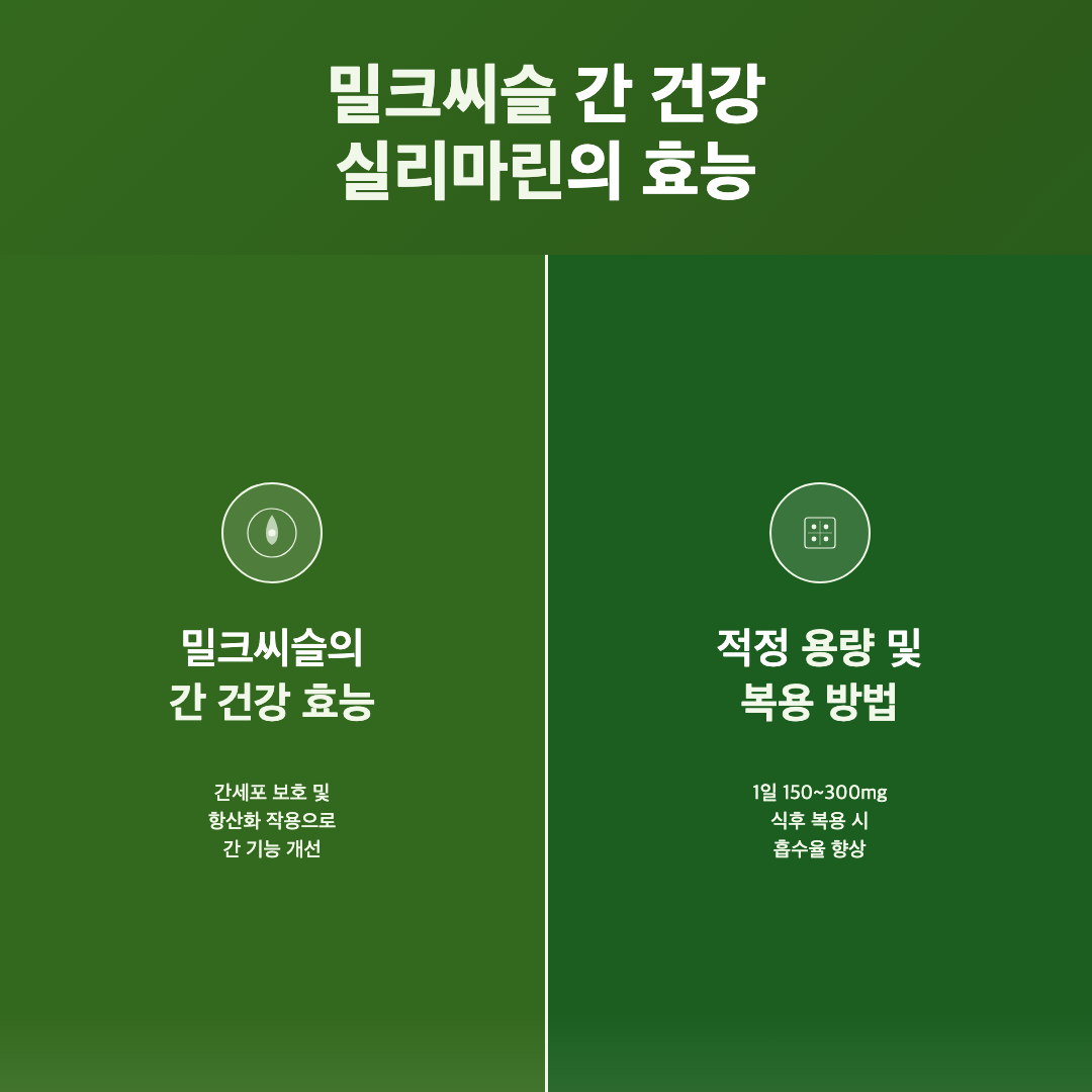 밀크씨슬 실리마린이 간에 작용하는 방식 - 밀크씨슬 간 건강 효능 용량 주의사항