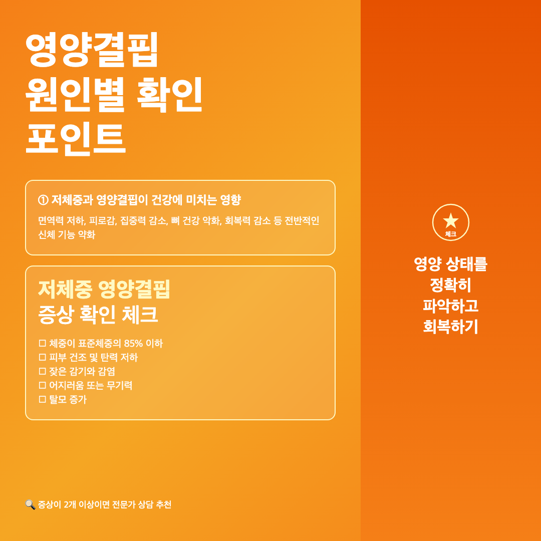 저체중 영양결핍 증상 확인하는 방법과 건강 회복 실천법 이미지 3