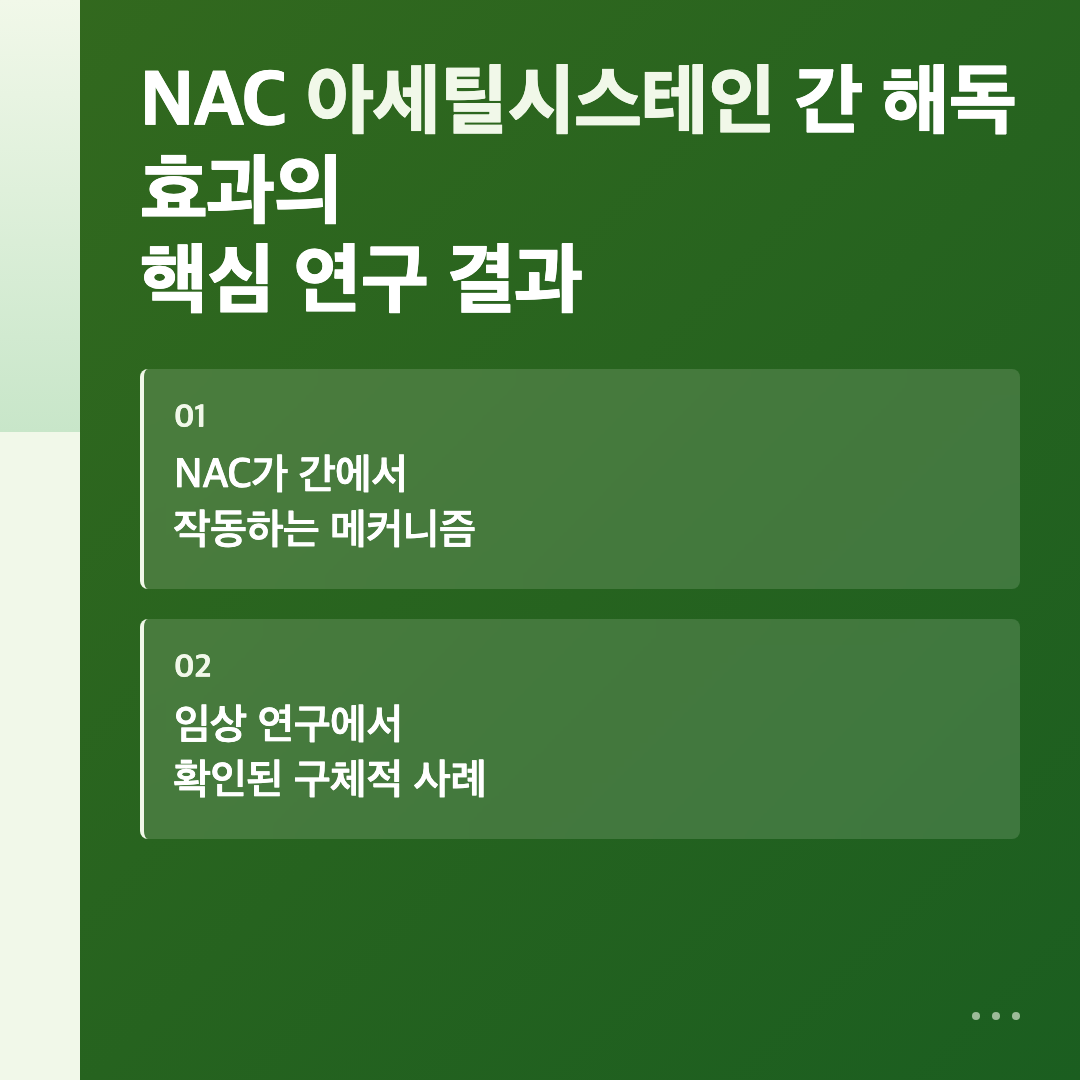 NAC 간 해독 효과의 핵심 연구 결과 - NAC 아세틸시스테인 간 해독 효과