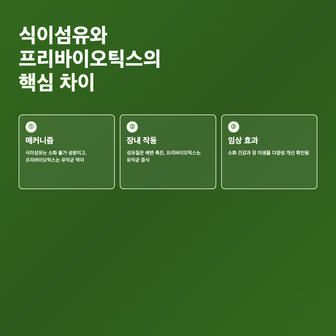 식이섬유와 프리바이오틱스의 핵심 차이 - 식이섬유 프리바이오틱스 차이 섭취 방법