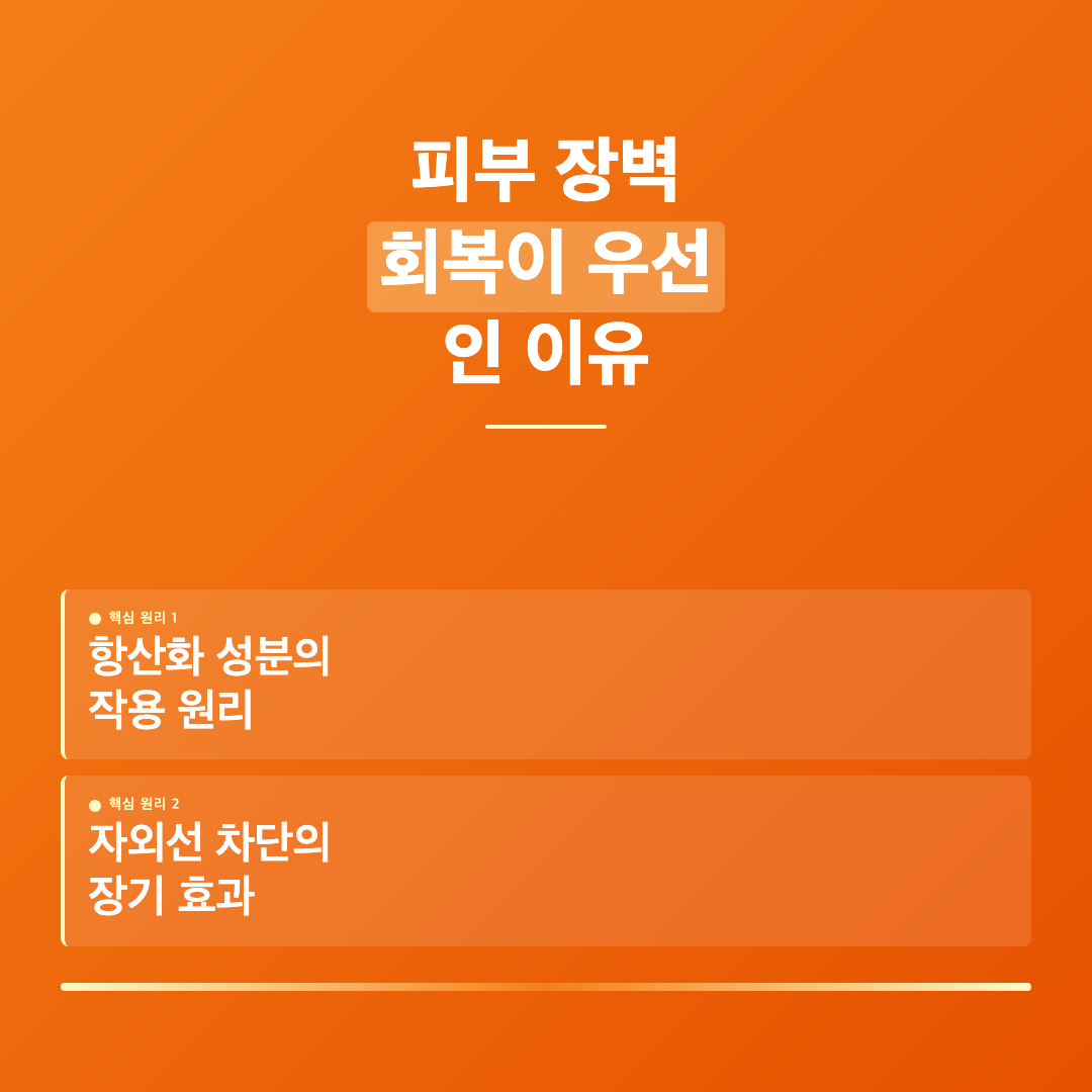 피부 장벽 회복이 우선인 이유 - 피부 좋아지는 방법