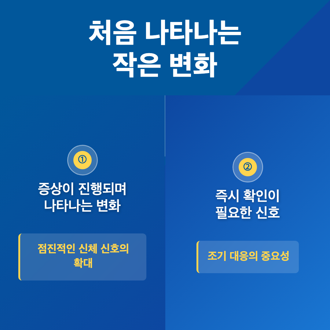 갱년기 증상 완화에 도움이 되는 음식