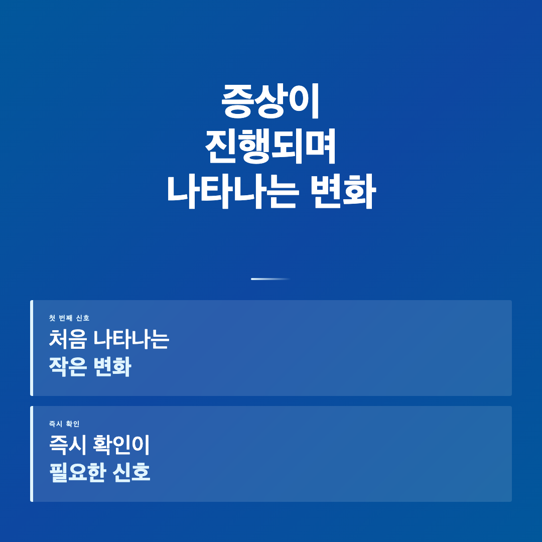 갱년기 증상 완화에 도움이 되는 음식 이미지 2