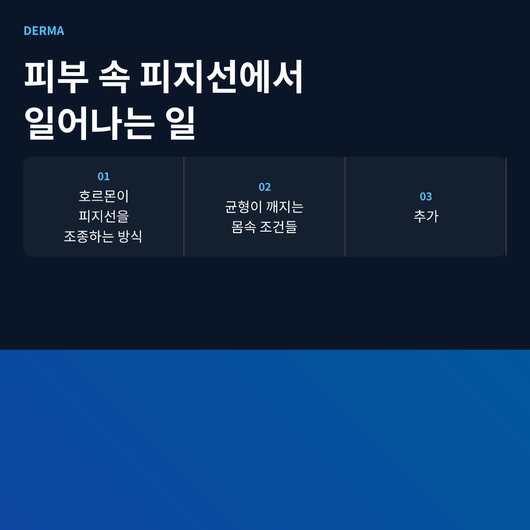 피부 속 피지선에서 일어나는 일 - 여드름 호르몬 영향 이해