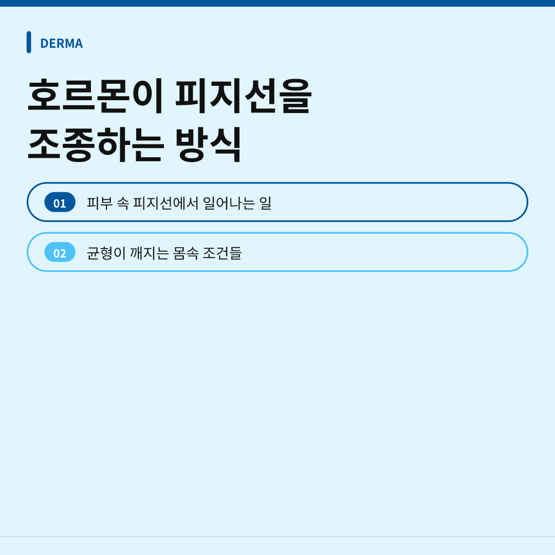 여드름 호르몬 영향 이해 이미지 2