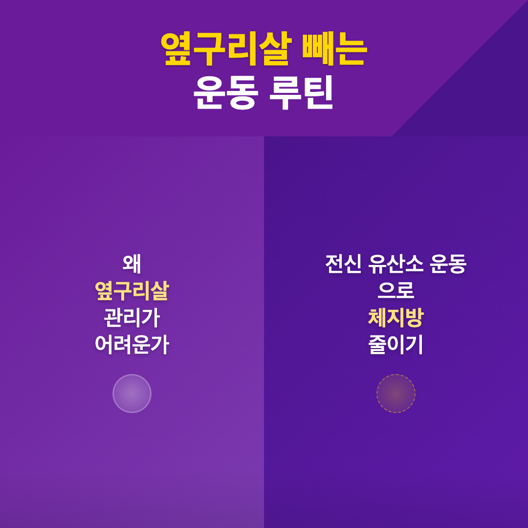 옆구리살 빼는 운동 루틴과 실천 가능한 관리법 이미지 3