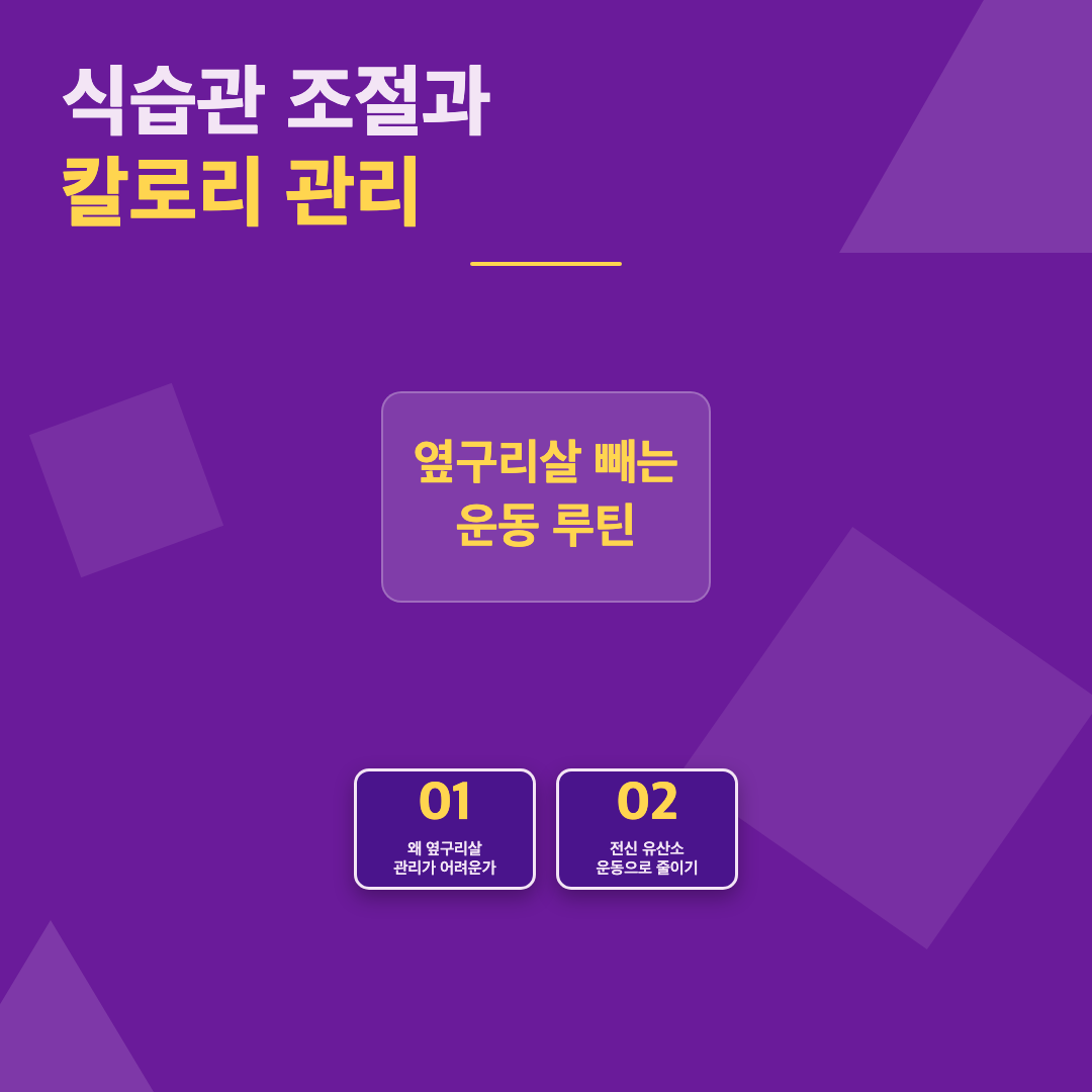 옆구리살 빼는 운동 루틴과 실천 가능한 관리법 이미지 5