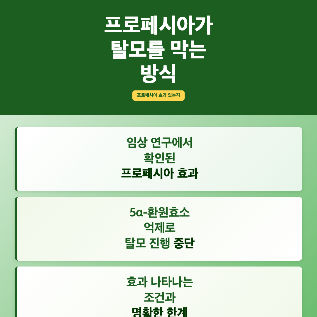프로페시아가 탈모를 막는 방식 - 프로페시아 효과 있는지
